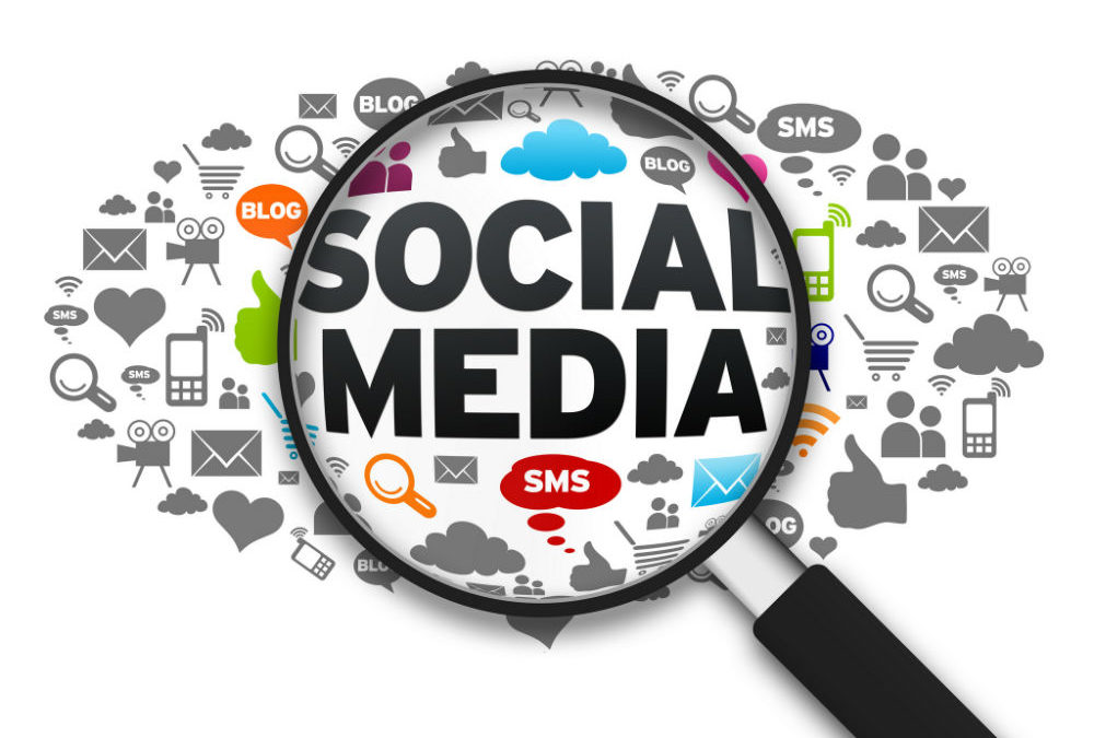 best background check online services include social media checks