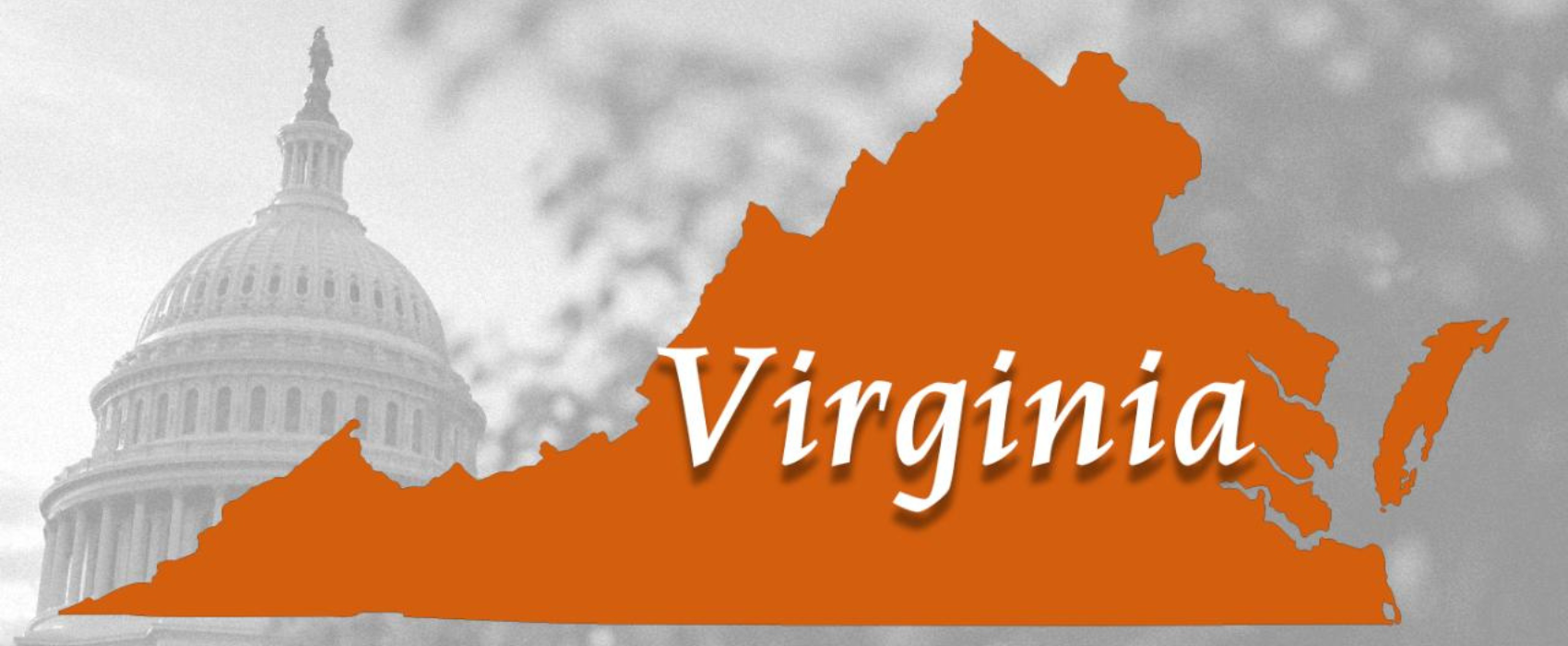 Virginia background checks