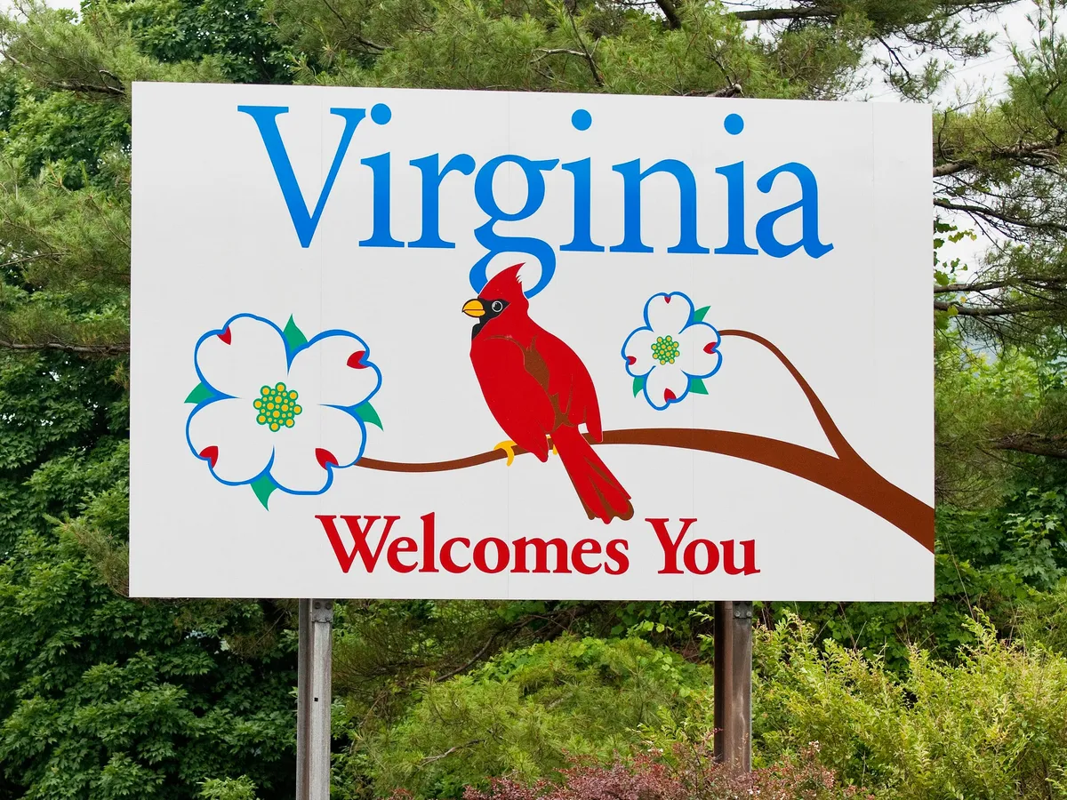 Virginia employment background checks